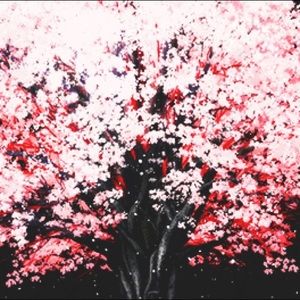 Meet your Posher, Jamila